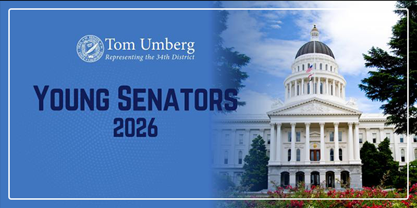 Young Senators 2026